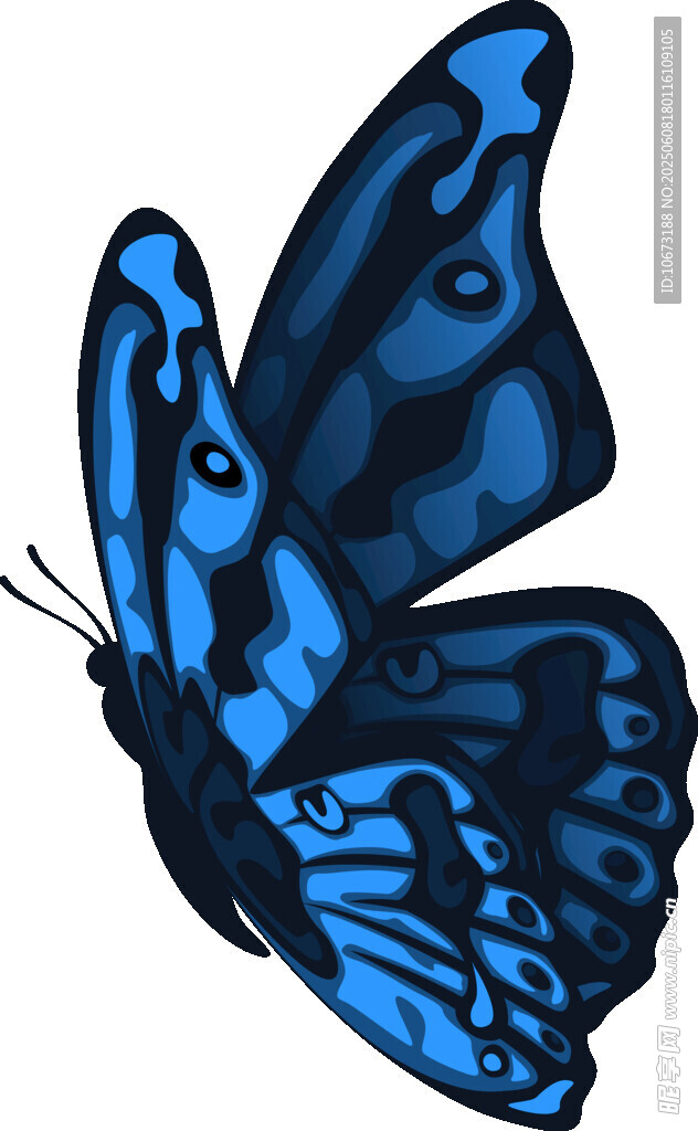 蓝色蝴蝶插画