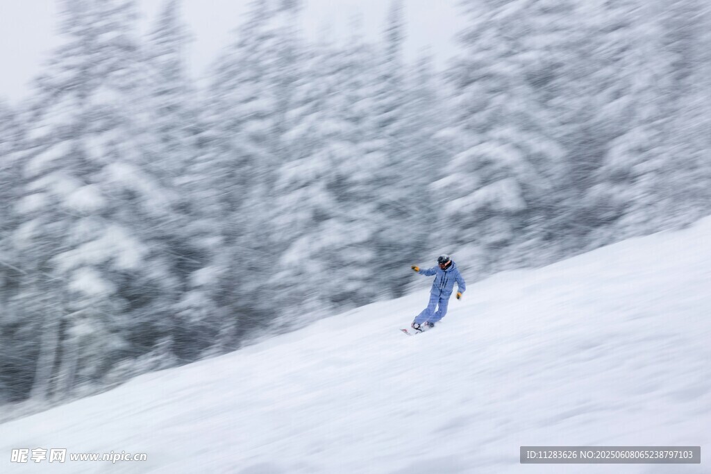 滑雪者在雪林山坡飞驰