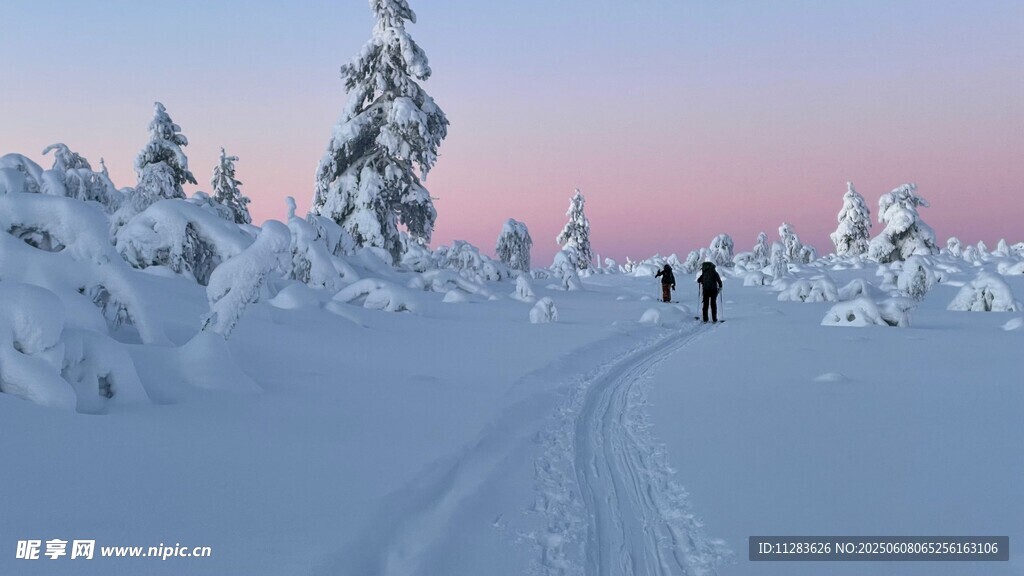 雪地漫步的浪漫冬日景象