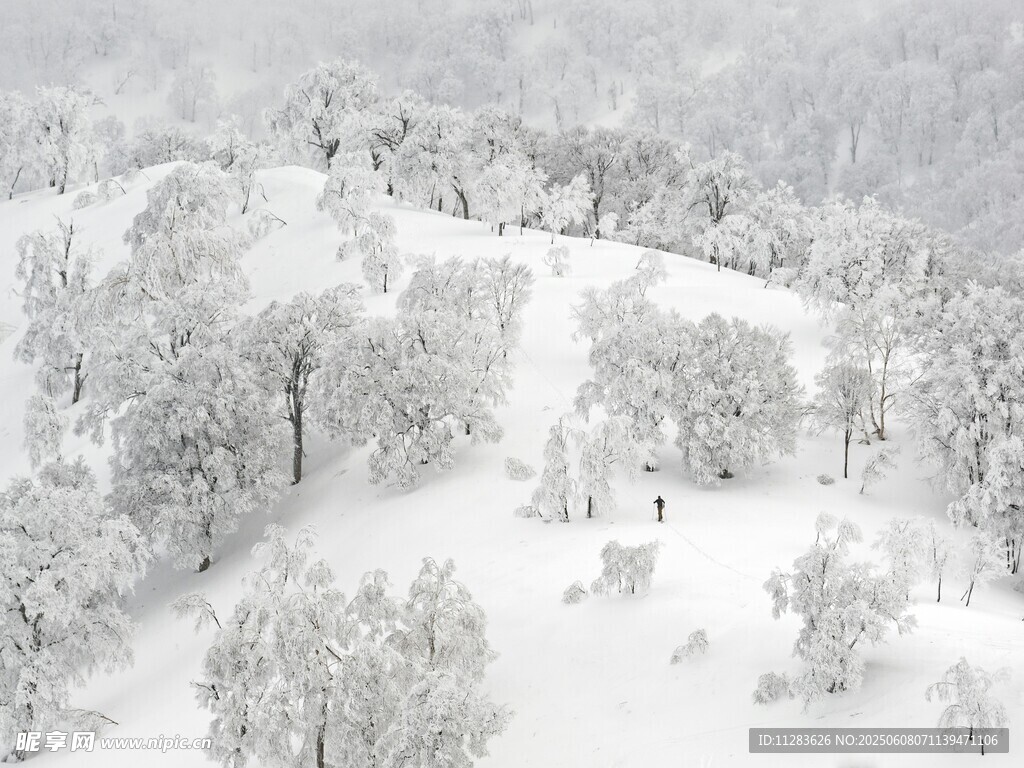 雪覆山林冬日美景