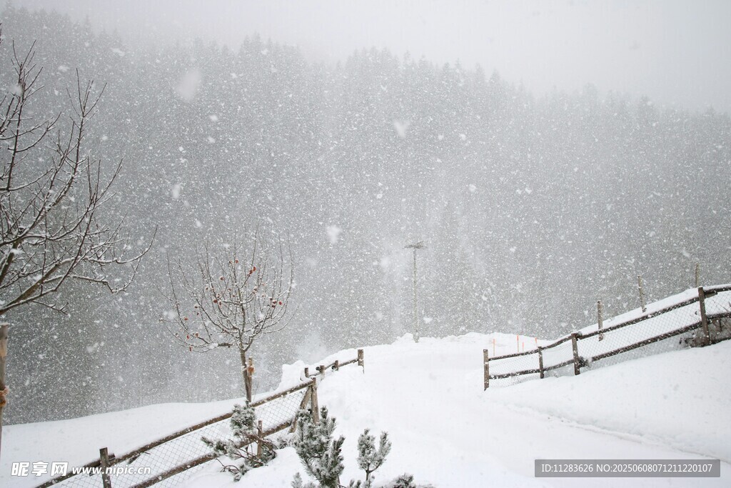雪覆山林间的静谧雪景