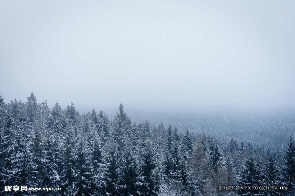 雪覆山林的静谧冬日景象
