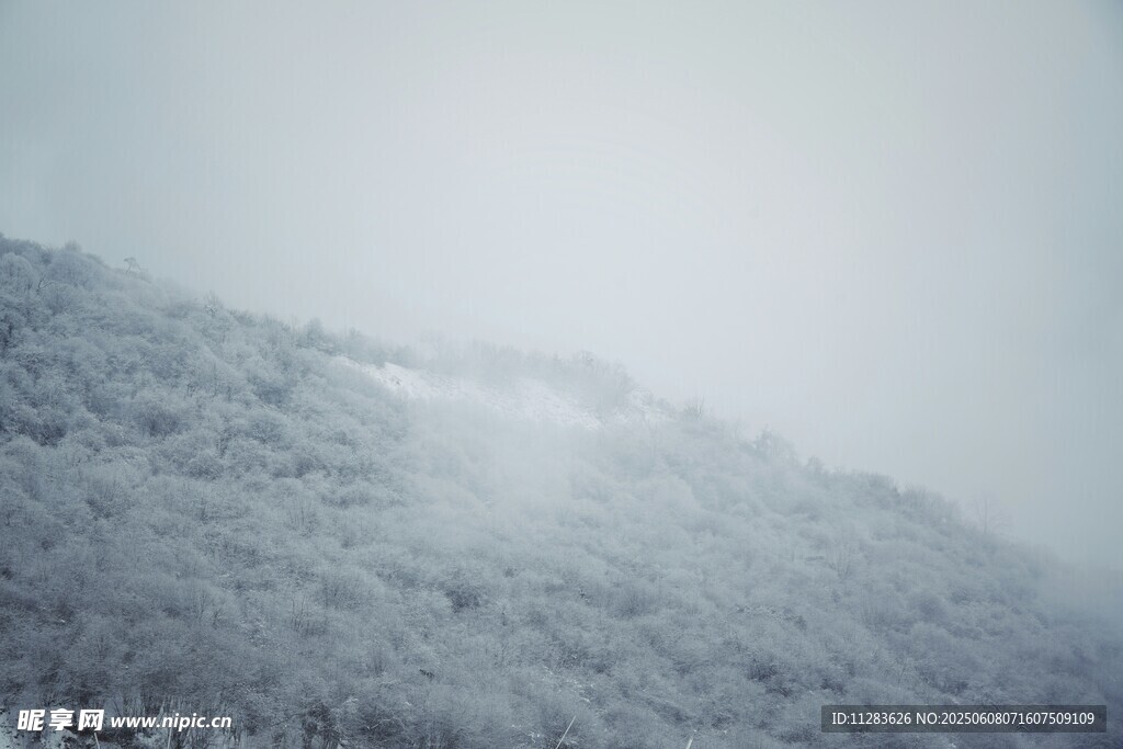 雪覆山林的静谧景致