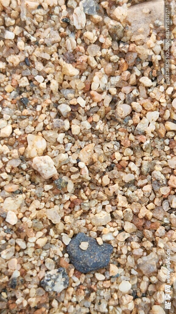 沙地上的蓝色小物