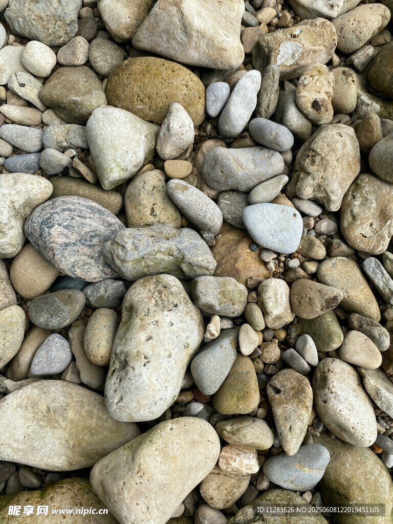 河滩上的多彩鹅卵石