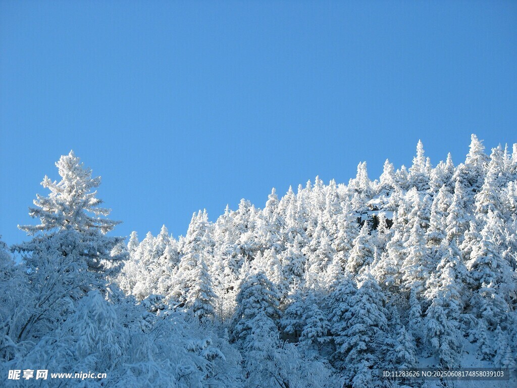 雪覆山林蓝天景