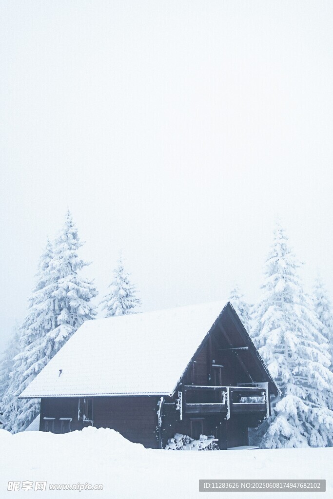 雪覆木屋 冬日静谧景象