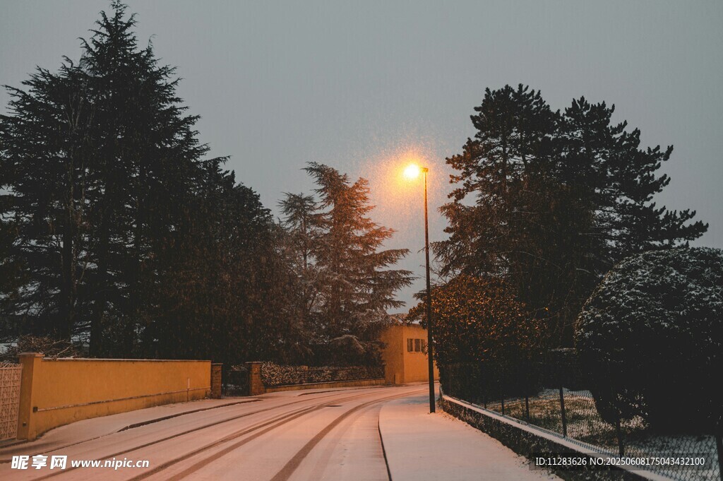 雪后林间小道的静谧景象
