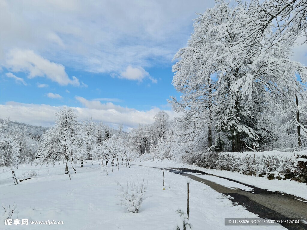 冬日雪覆道路雪景风光