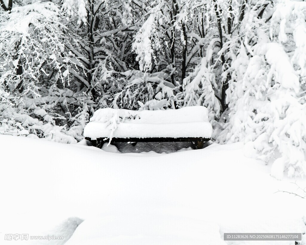 雪覆林间小屋