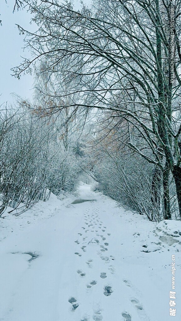 雪后小径留有人行足迹