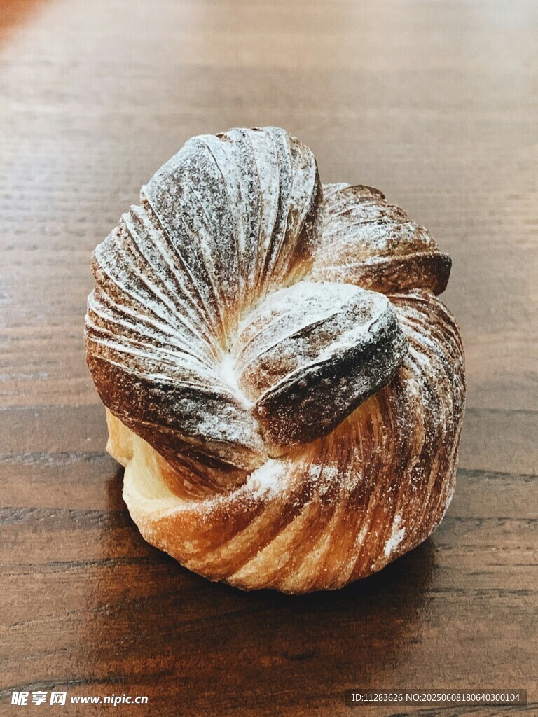 独特造型的贝壳摆件