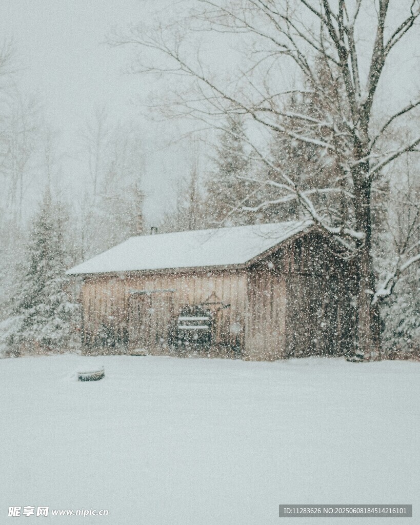 雪覆小屋的静谧冬日景象
