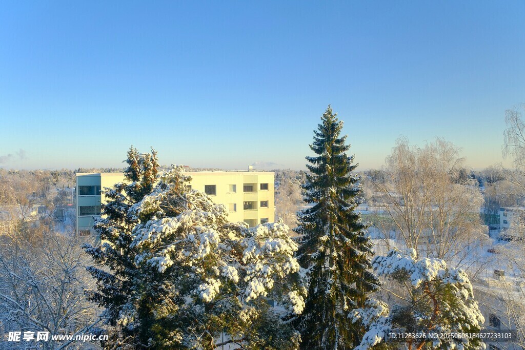 冬日雪景中的建筑与树木