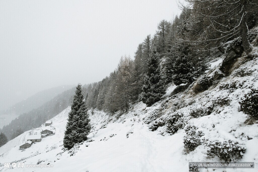 雪覆山林的冬日美景