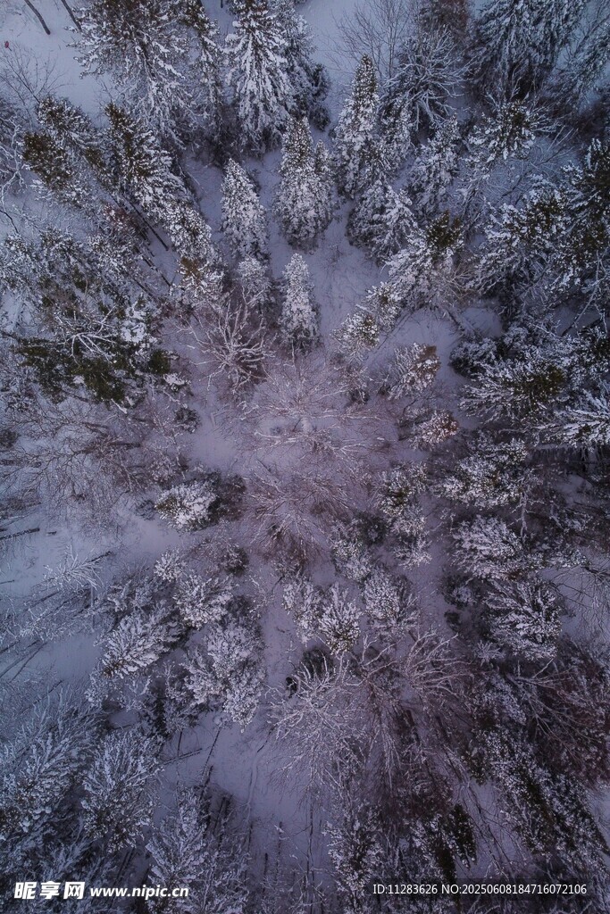 冬日森林鸟瞰雪景