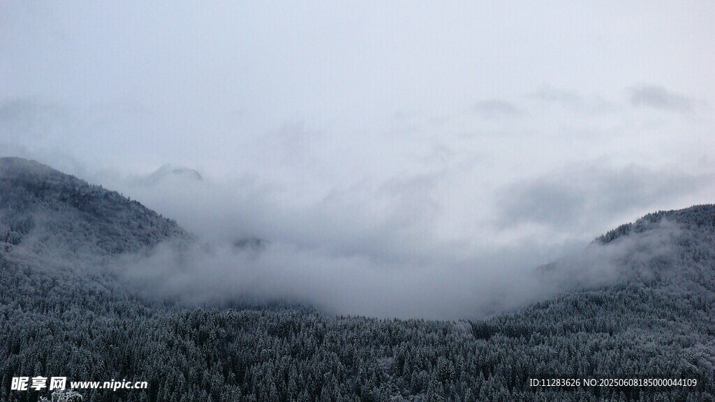 云雾缭绕的山林美景