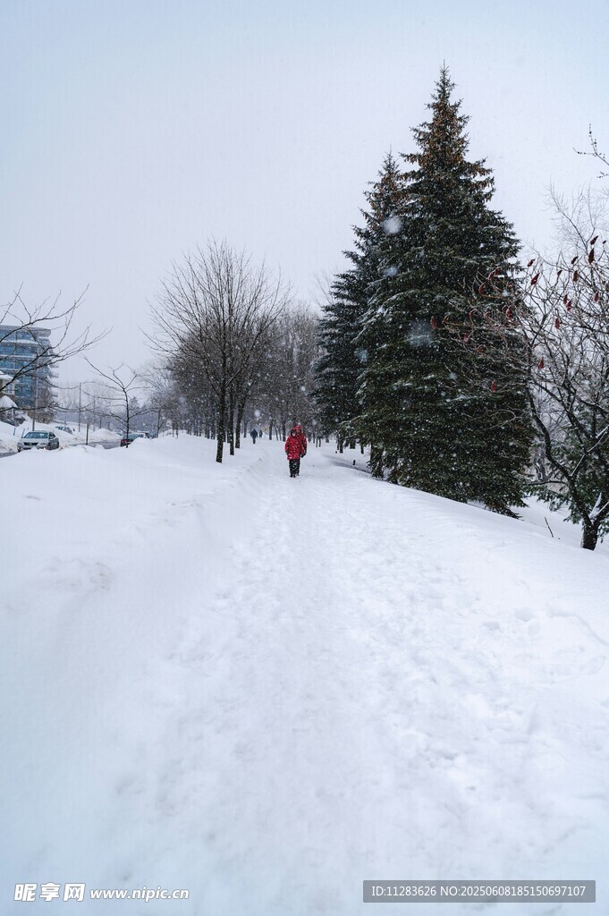 雪地中的树木与行人