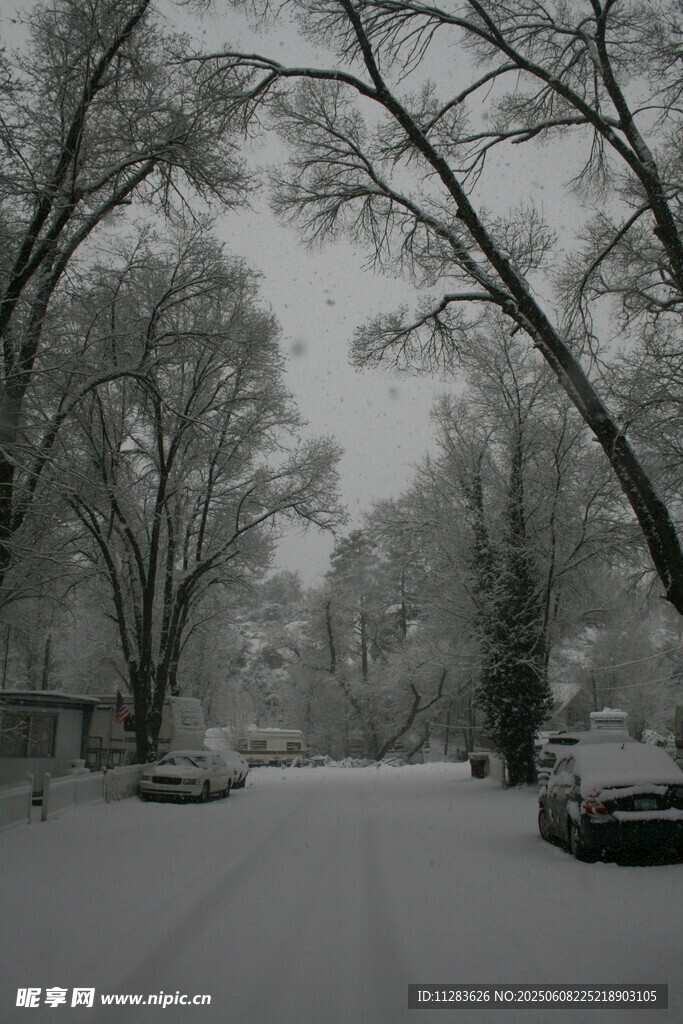 雪后静谧街道景象