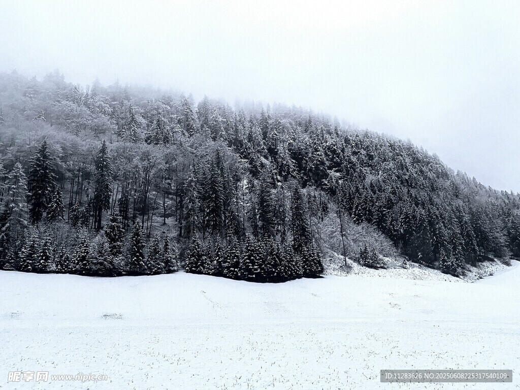 雪覆山林的冬日纯净美景