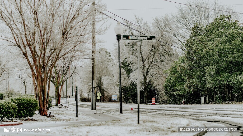 冬日雪后静谧街道景象