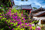 古宅繁花景