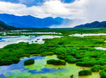 美丽湿地风光如画