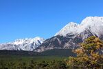 雪山森林美景