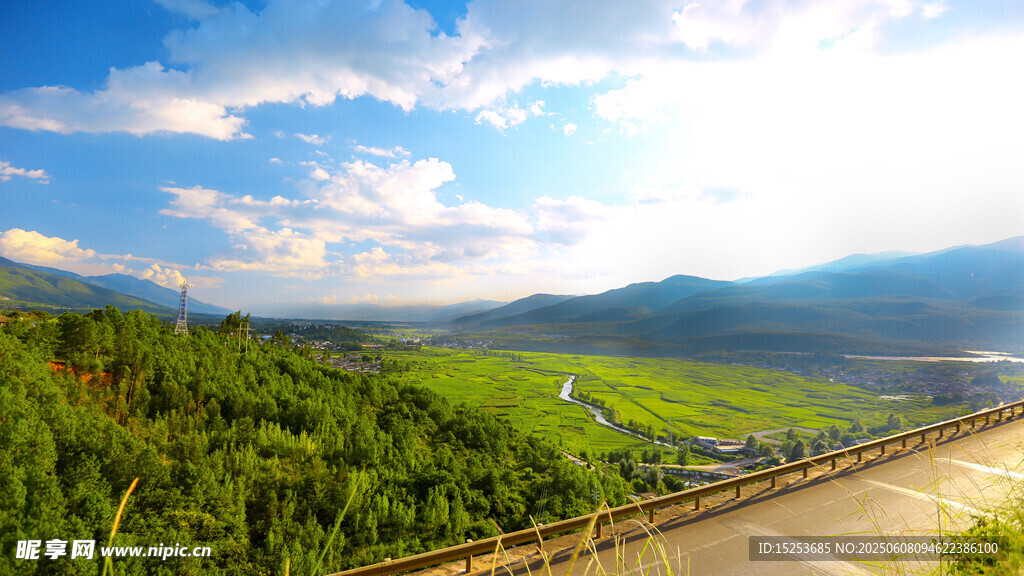 山间公路旁的葱郁美景