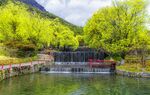 山间秀丽水景与繁茂绿树