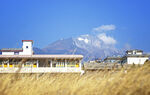 富士山下的田野与建筑