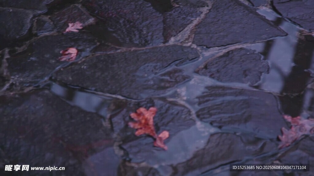 雨中地面上的鲜艳花瓣