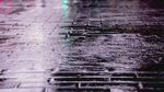 雨后湿漉漉的砖石路面