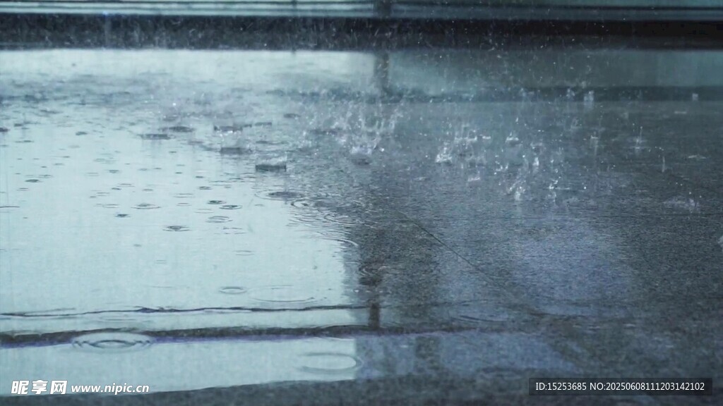 雨中地面的湿润景象