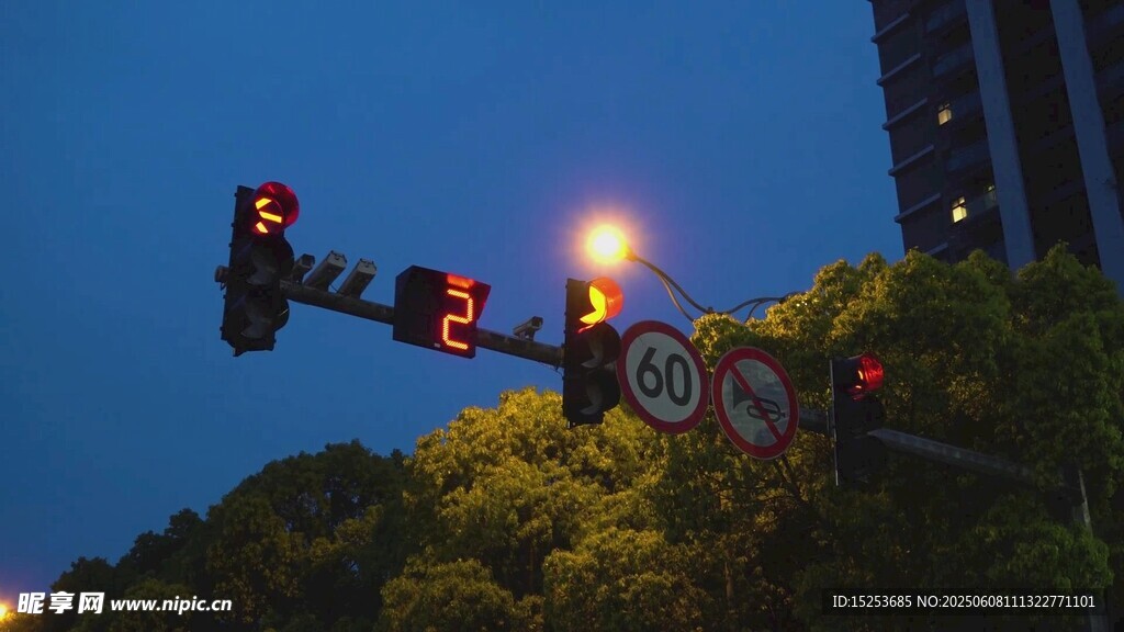 夜幕下的交通信号灯与绿植