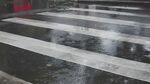 雨中斑马线