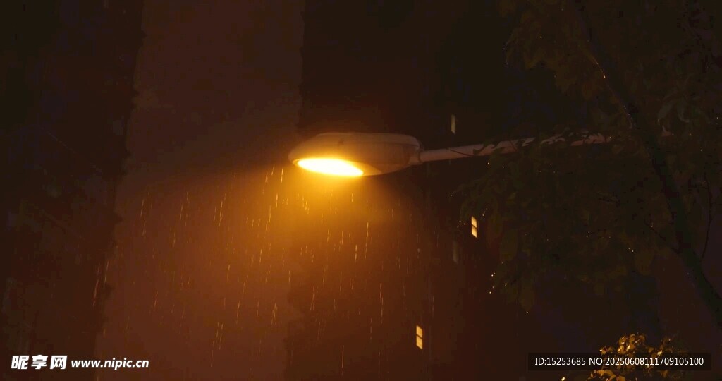 夜晚路灯下的朦胧景象