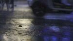 雨夜地面光影与车辆痕迹
