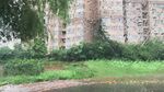 老旧建筑旁的绿植景观