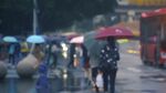 雨中行人撑伞漫步街头