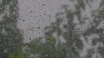窗上雨滴模糊窗外景色