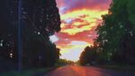 夕阳下的林间公路美景