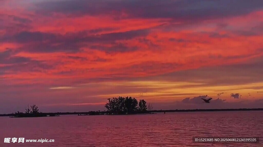 夕阳下的绚烂湖面与孤树