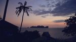 黄昏下的海边椰树美景