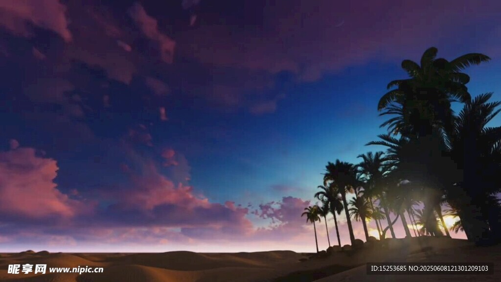 海边椰林的梦幻黄昏景色