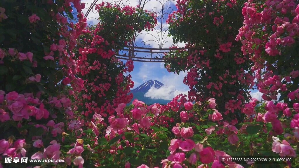 繁花簇拥下的静谧水景