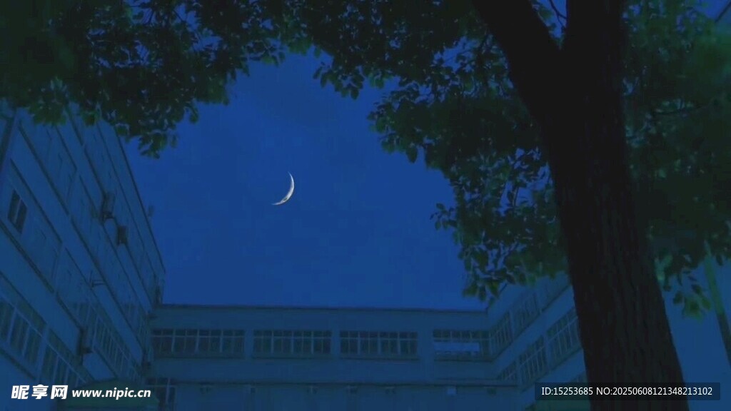 夜空下的建筑与树木