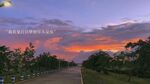 黄昏下的林间公路美景