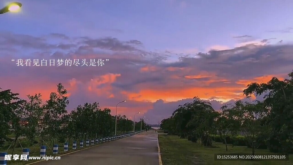 黄昏下的林间公路美景