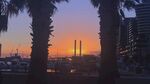 夕阳下的城市与棕榈树景观
